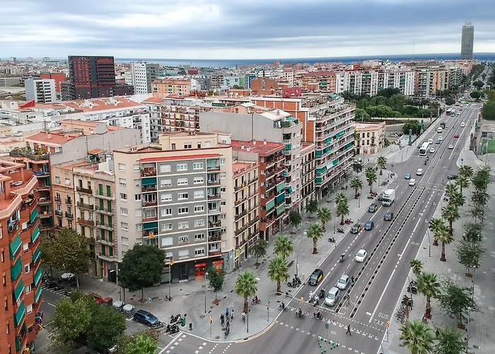 Cosmo Marina - Auditori *