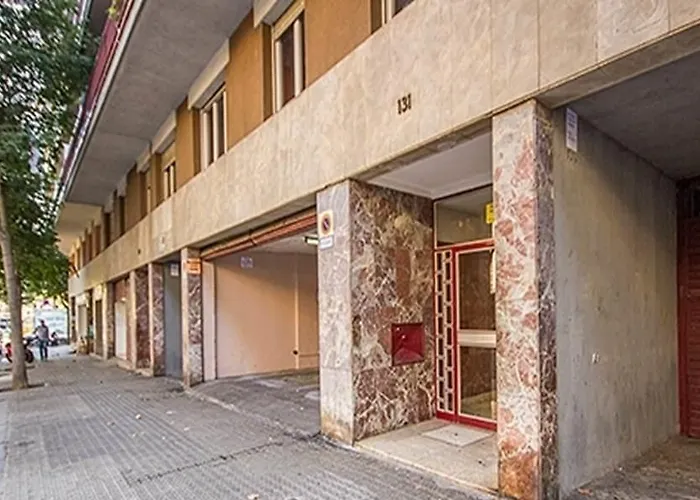 Cosmo Marina - Auditori Barcelona