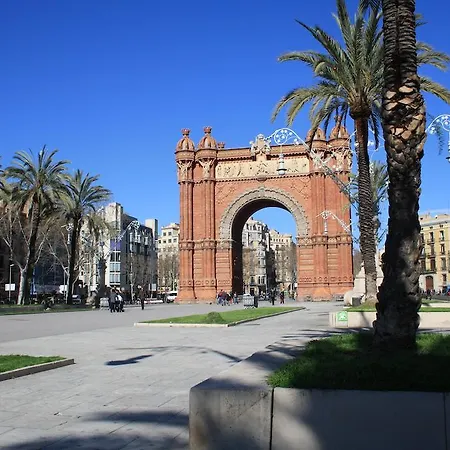 Cosmo Marina - Auditori *